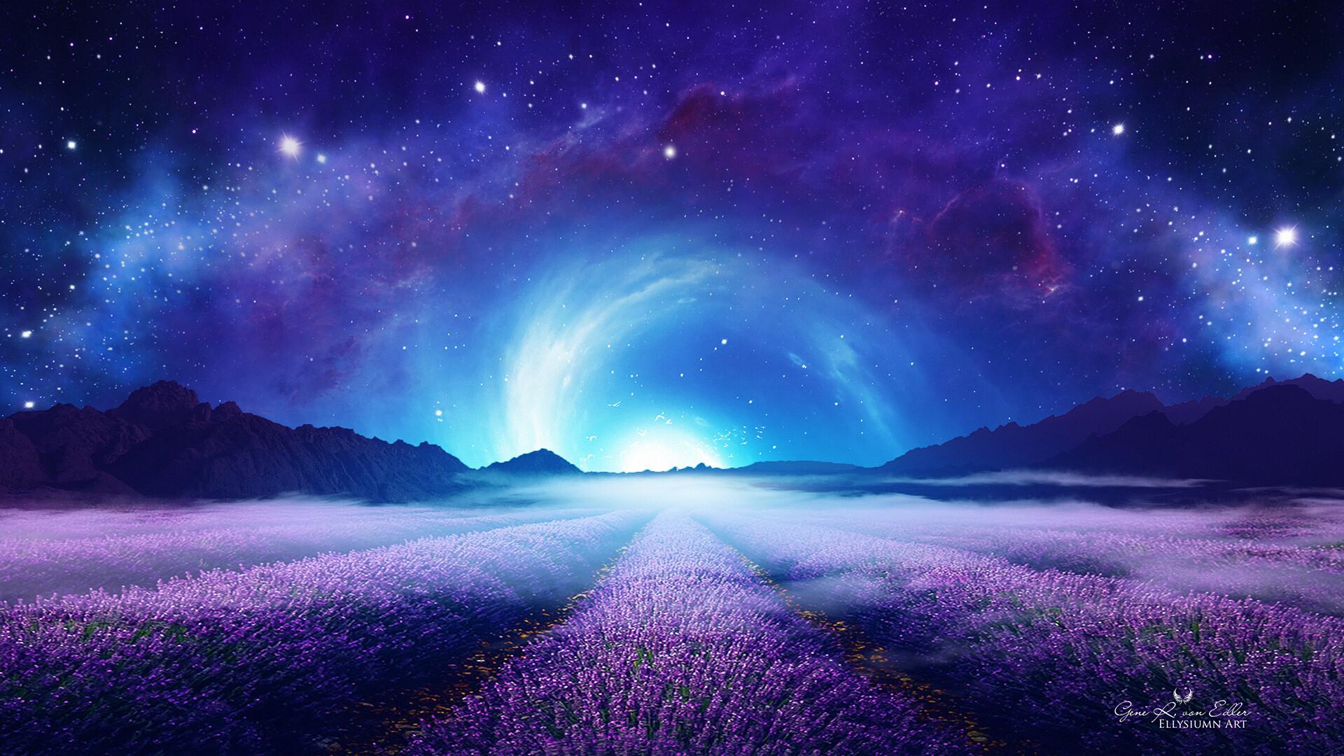 1920x1080 Lavender Field at Starry Night 1080P Laptop Full HD Wallpaper, HD Nature 4K Wallpaper, Image, Photo and Background