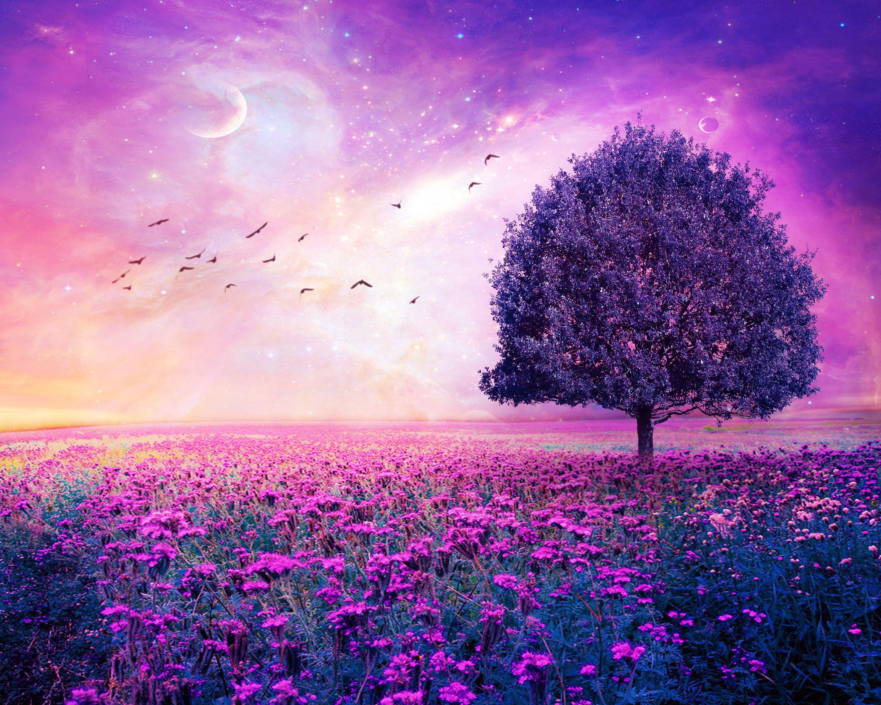 3000x2400 baixar wallpaper, natural landscape, sky, lavender, purple, violet