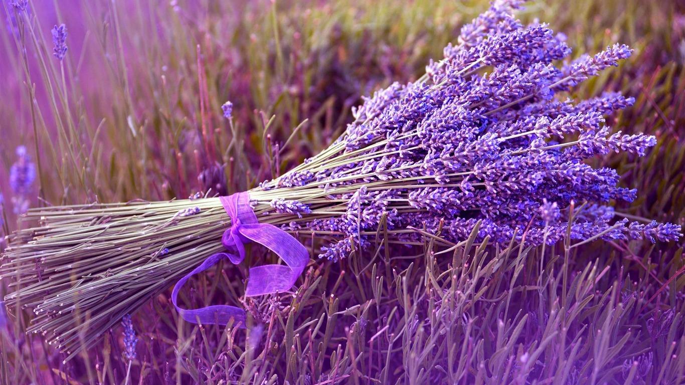 1366x768 Bouquet Lavender -Landscape with beat wallpaper