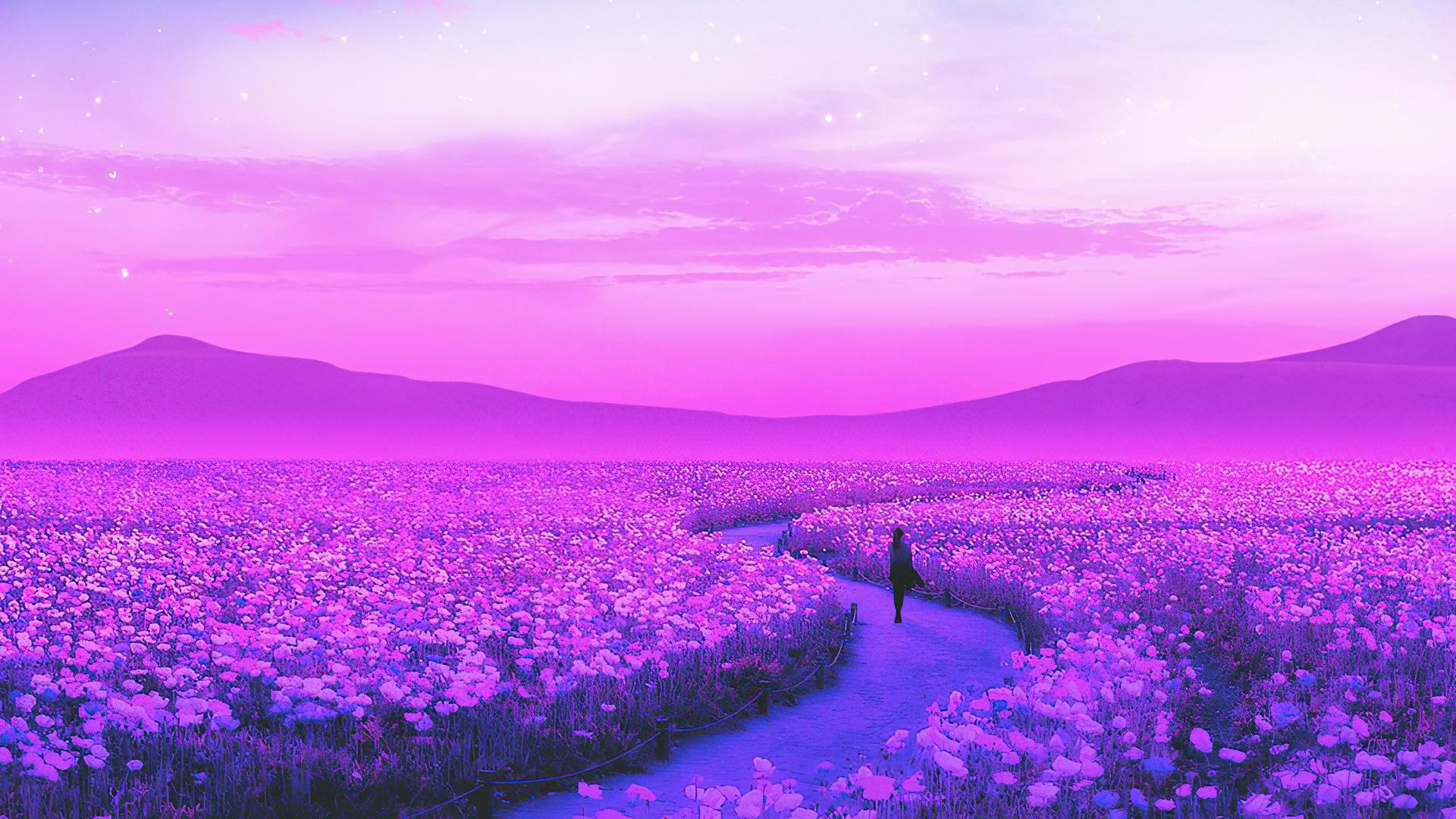 1920x1080 Day Dreaming Lavender Field 4k Laptop Full HD 1080P HD 4k Wallpaper, Image, Background, Photo and Picture