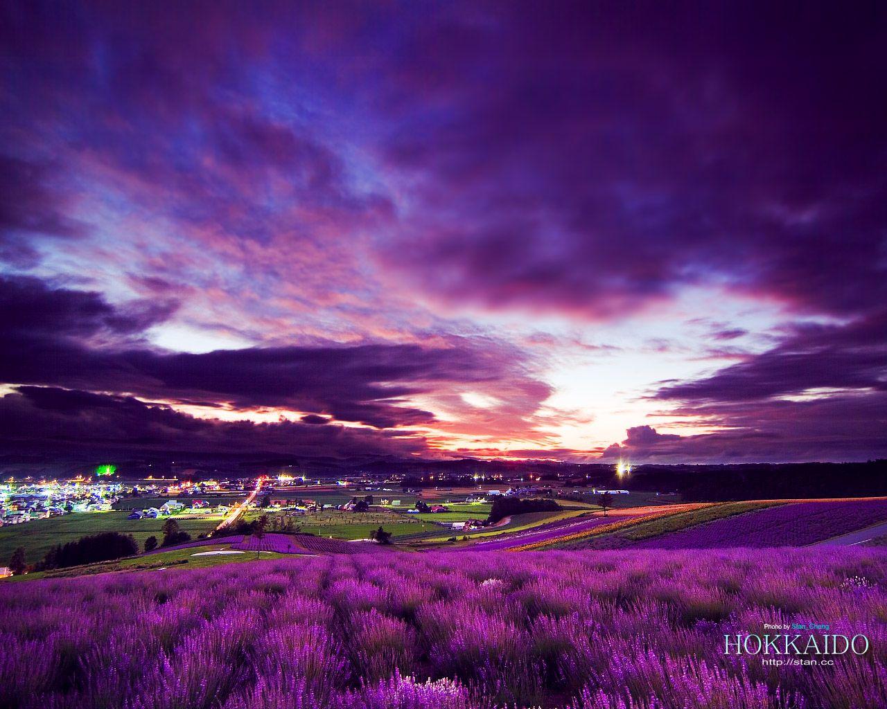 1280x1024 Purple Scenery Wallpaper