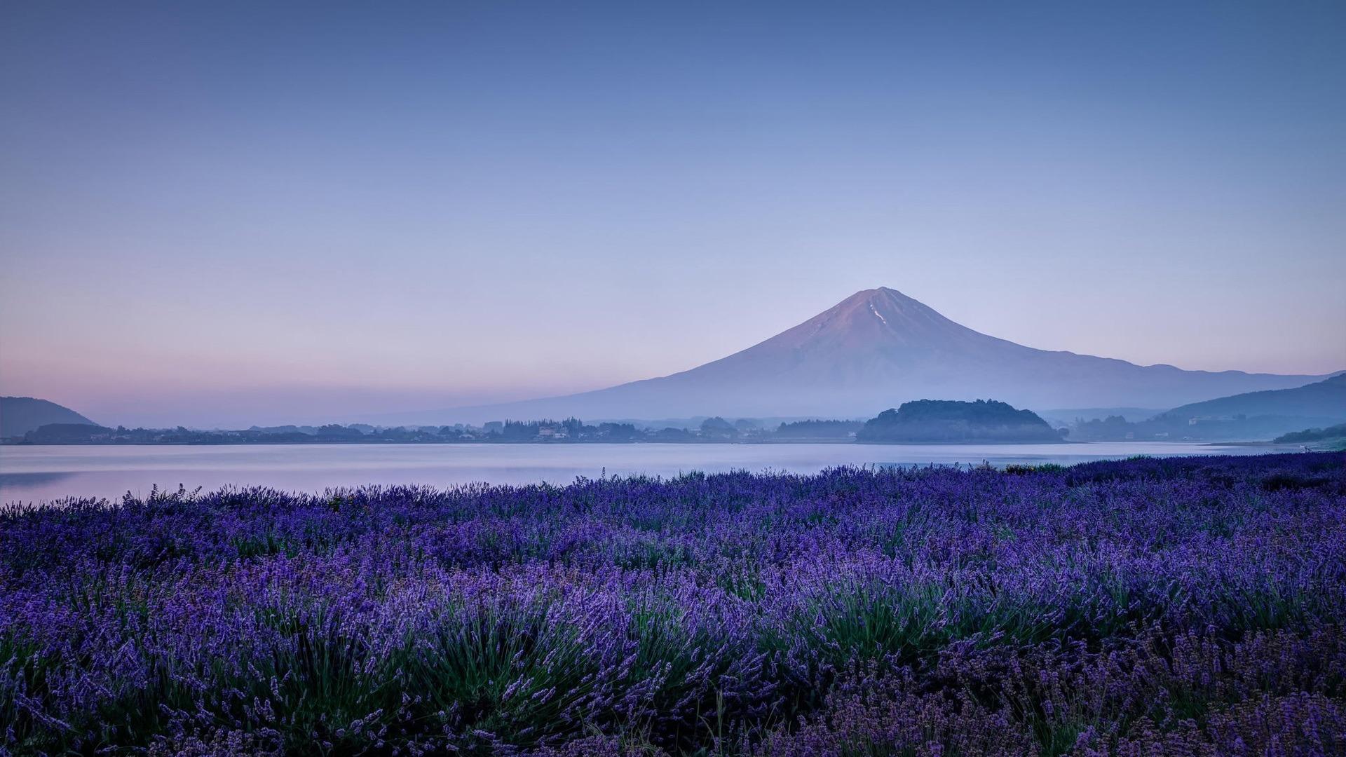 1920x1080 Lavender Mountain River Landscape HD Wallpaper