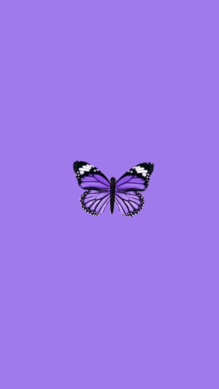 750x1333 Butterfly Aesthetic Wallpaper