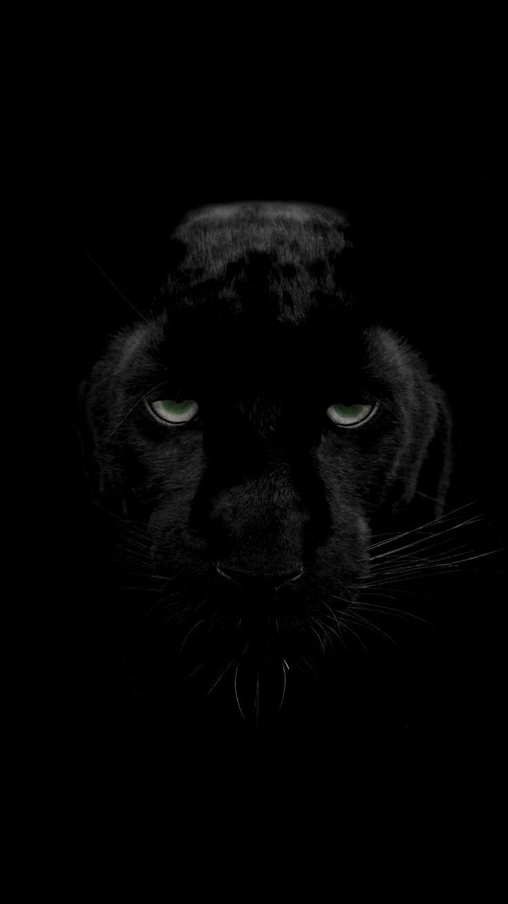 736x1308 Black Panther Wallpaper 4k iPhoneD Wallpaper. Animal wallpaper, Black wallpaper, Panther