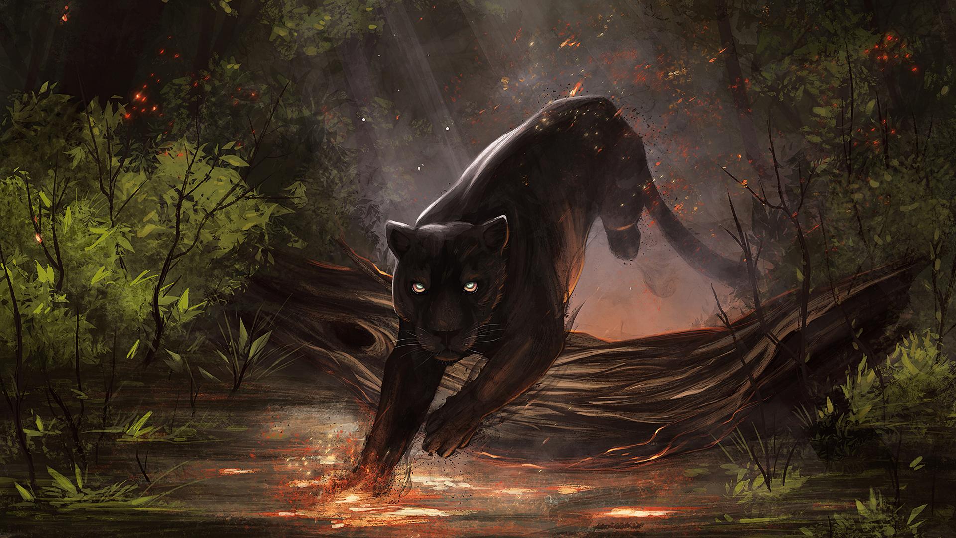 1920x1080 Download Black Jaguar Wallpaper HD 1080P Background
