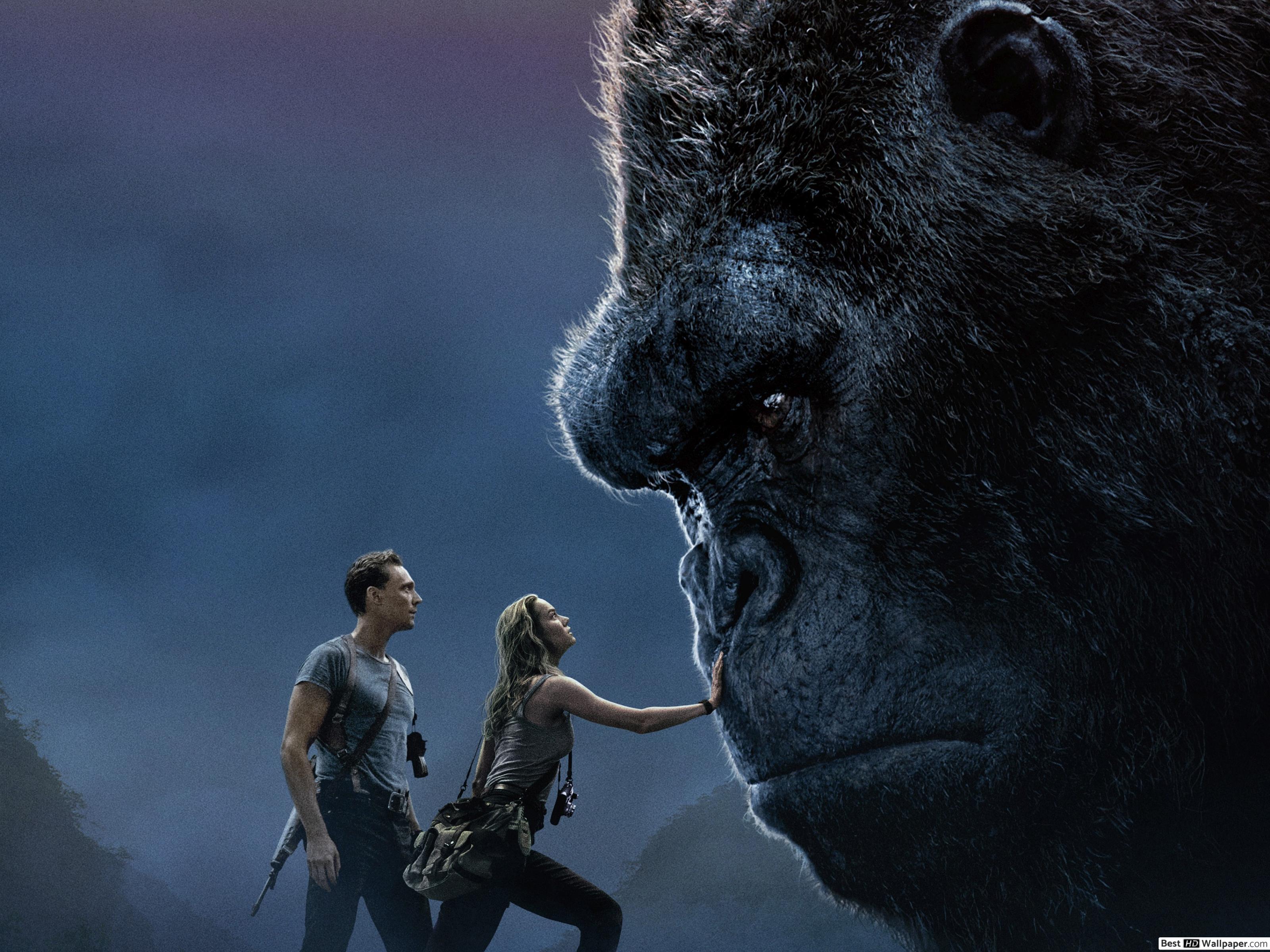 3200x2400 Tamed King kong HD wallpaper download