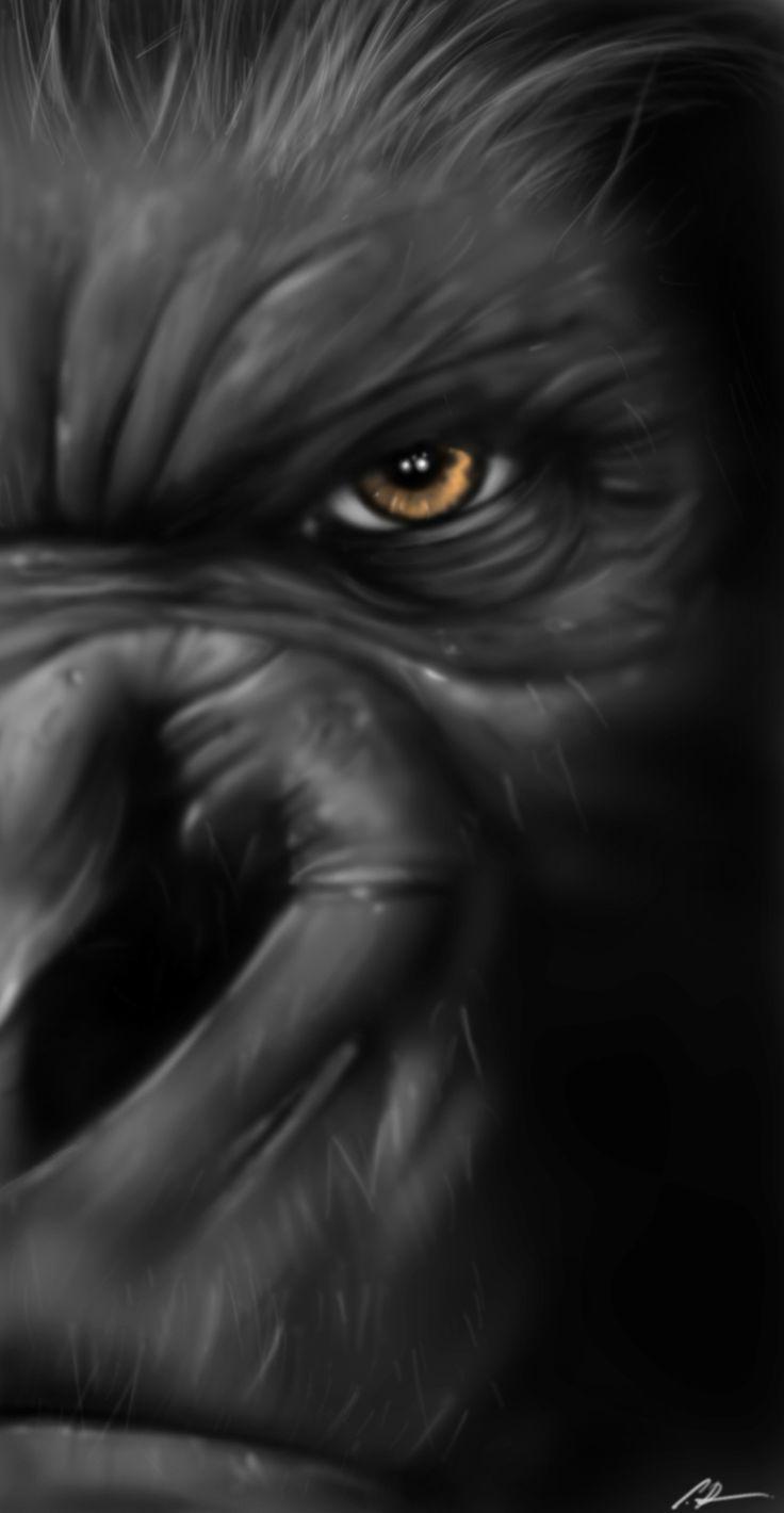 736x1420 King Kong wallpaper King Kong. King kong, Gorilla tattoo, King kong art