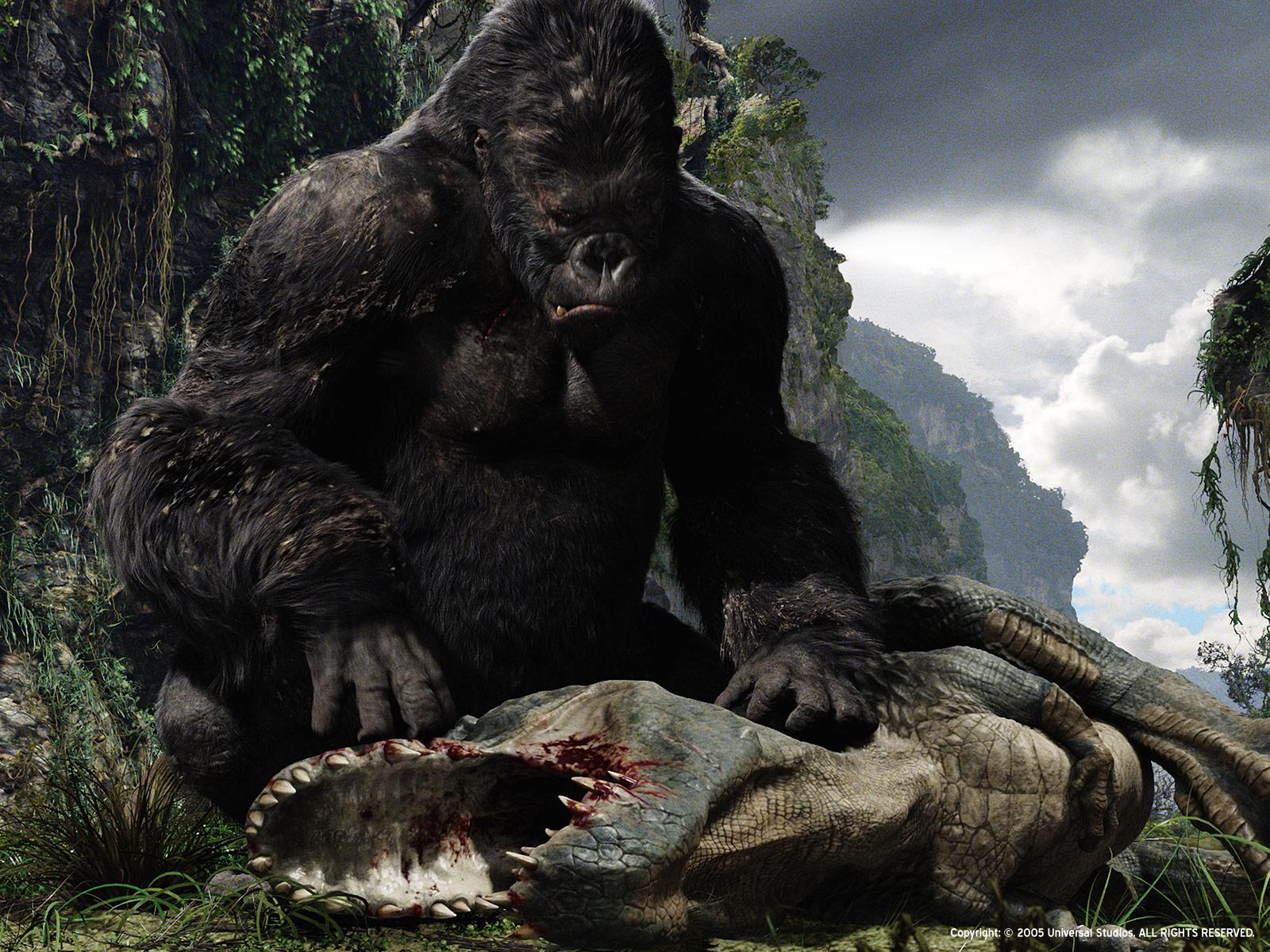 1600x1200 Free download King Kong Wallpaper [1600x1200] for your Desktop, Mobile & Tablet. Explore King Kong Picture Wallpaper. King Kong Wallpaper, Donkey Kong Wallpaper, King Kong Wallpaper