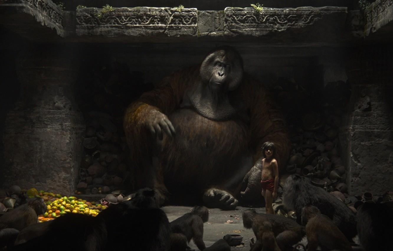 1332x850 Wallpaper cinema, jungle, blue eyes, leaves, boy, survivor, fruit, movie, friendship, gorilla, monkeys, ruins, film, human, Asia, king image for desktop, section фильмы