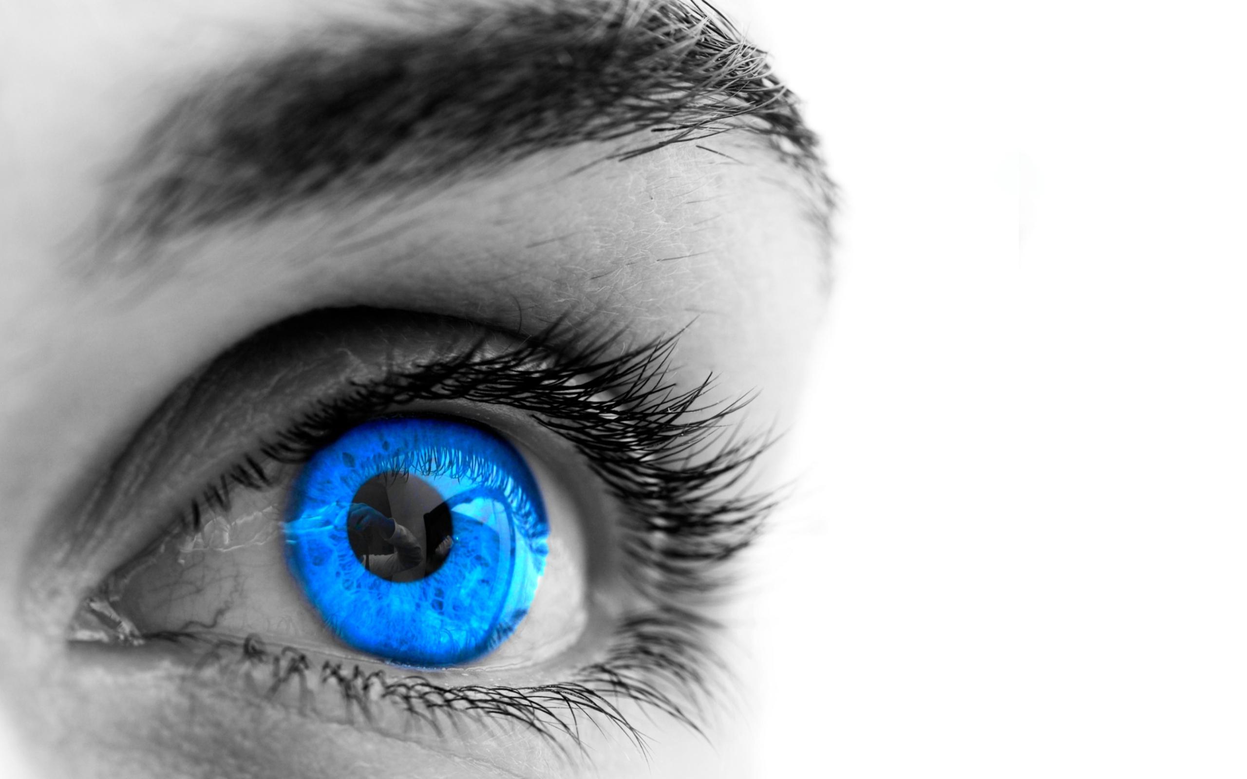 2560x1600 Blue Eyes HD Wallpaper HD Wallpaper
