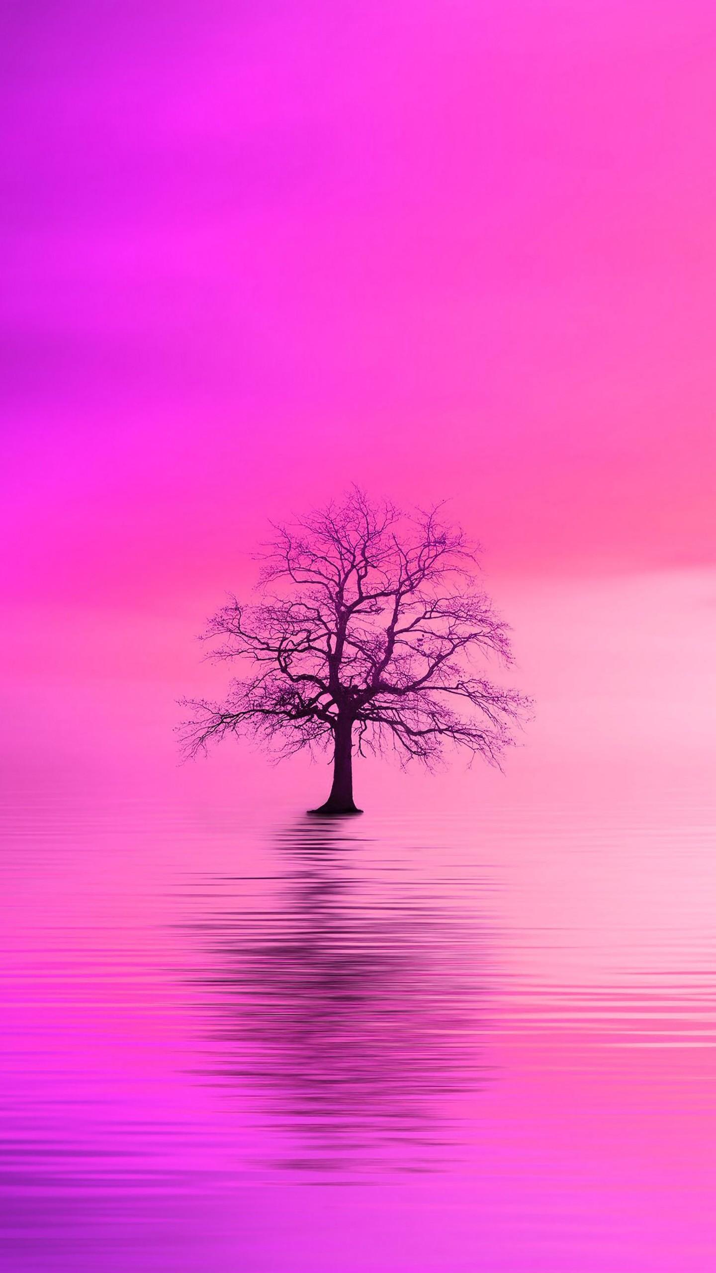 1440x2560 Tree Pink Horizon Lonely 4K HD Wallpaper