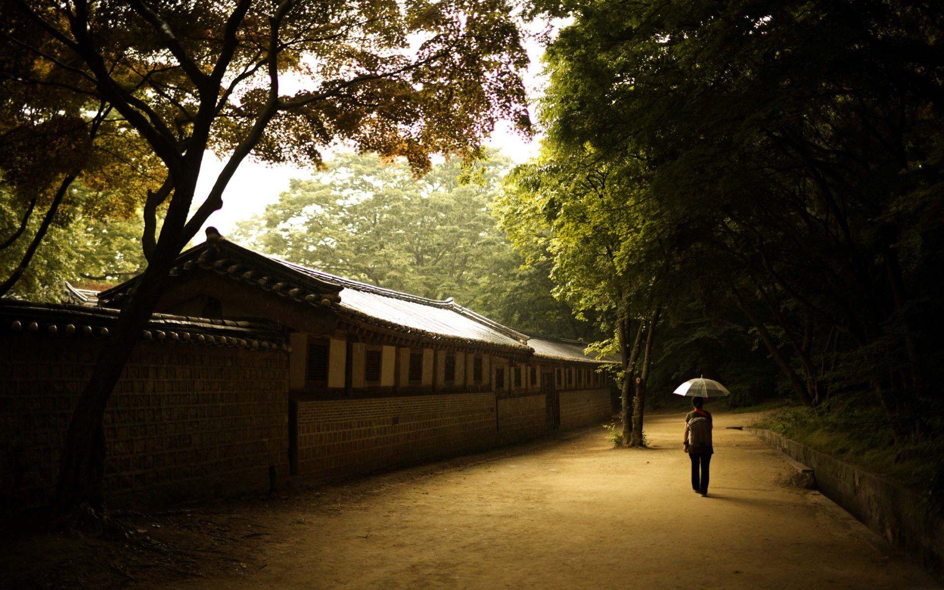 1920x1200 Lonely Man And His Umbrella. HD Nature Wallpaper for Mobile and Desktop