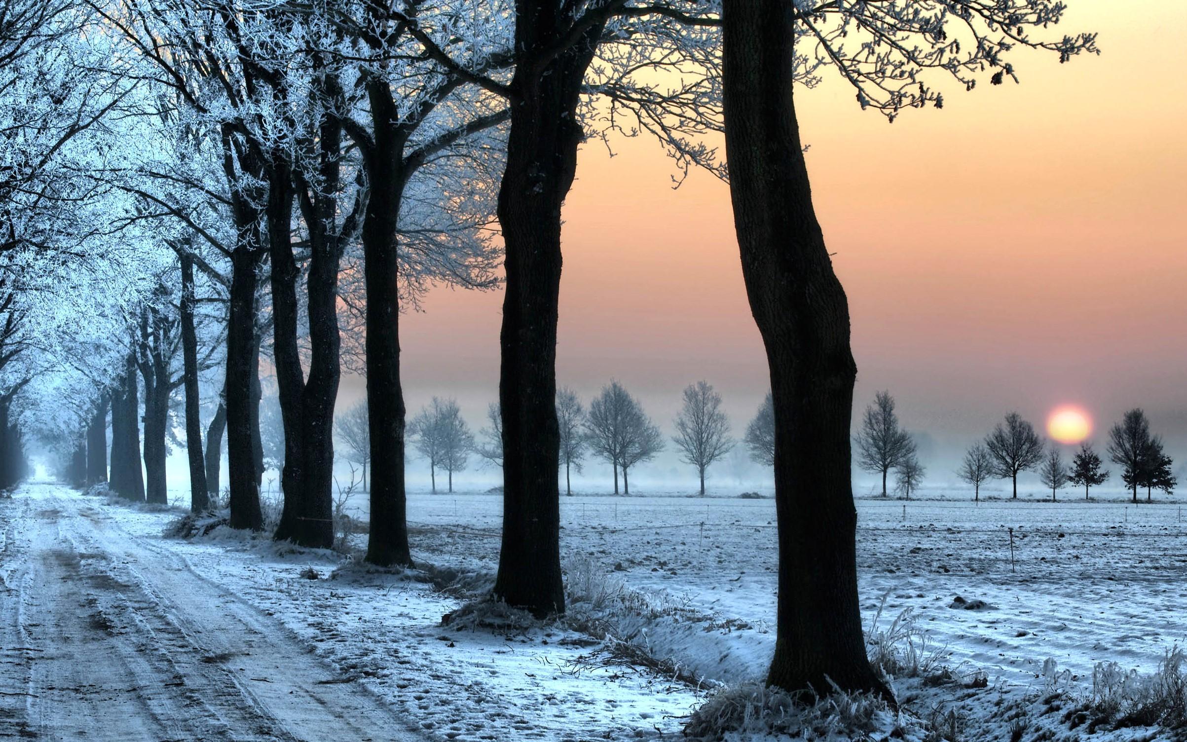 2406x1504 Free download Lonely Snowy Road Cool Nature Wallpaper Amazing Landscape [2406x1504] for your Desktop, Mobile & Tablet. Explore Cool Nature Wallpaper. Full HD Nature Wallpaper, Amazing Wildlife Desktop Wallpaper