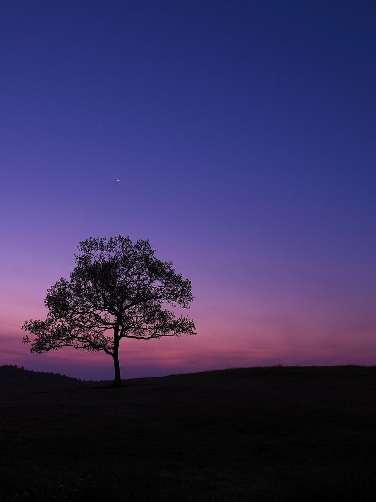 Night Sky iPad Wallpapers Top Free Night Sky iPad Backgrounds