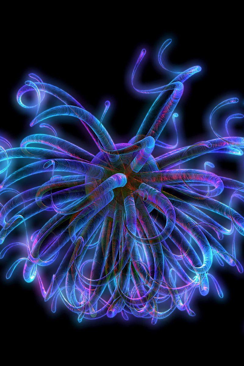 800x1200 Download Wallpaper 800x1200 Nerve Endings, Neon, Light, Line, Circuit Iphone 4s 4 For Parallax HD Background