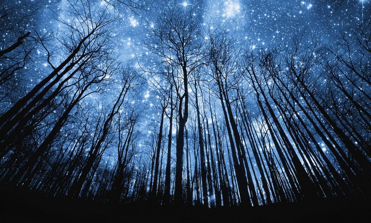 1280x768 Beautiful Wallpaper HD Night Sky Stars 3840x2400 :
