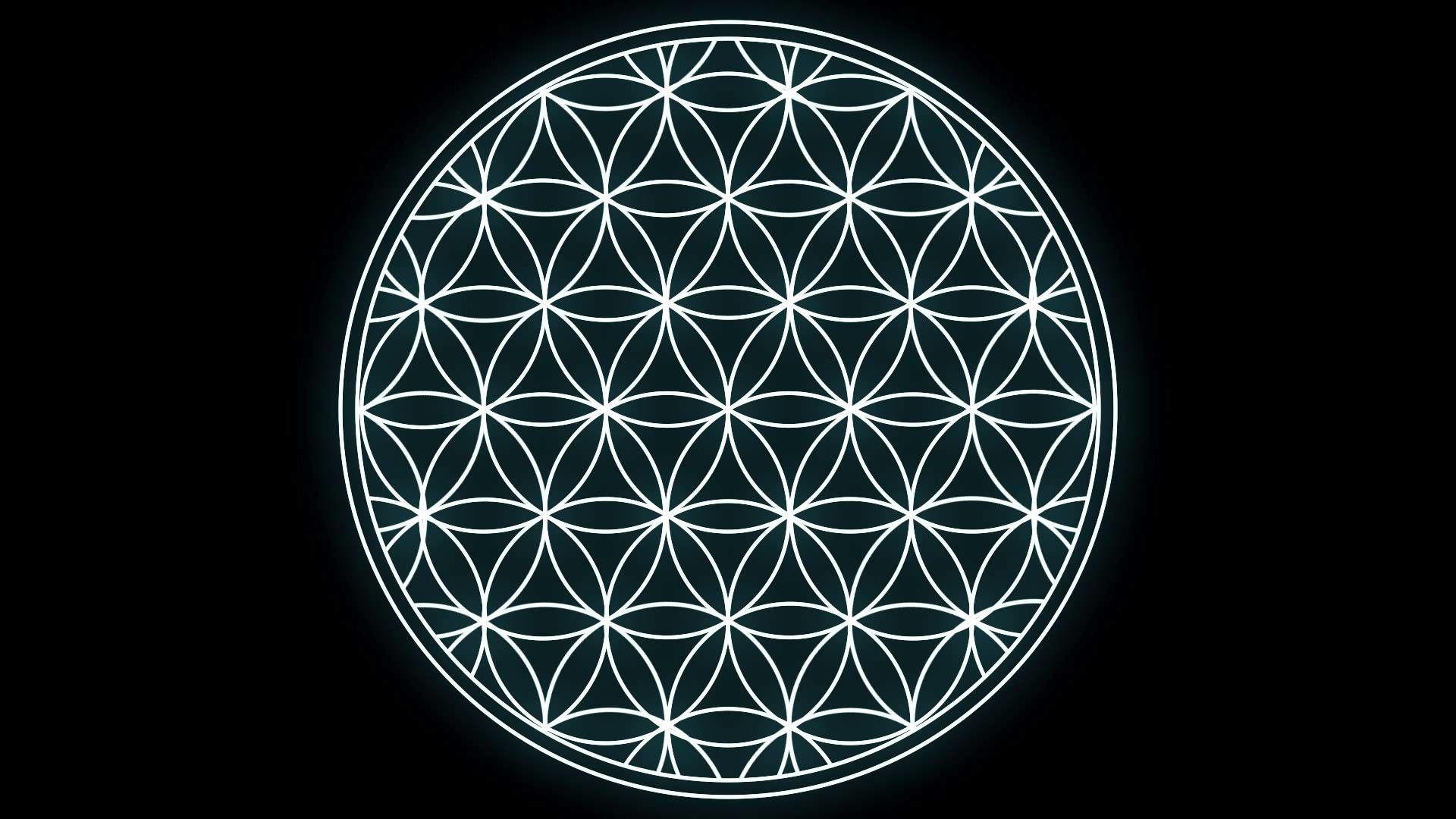 Flower of Life Wallpapers - Top Free Flower of Life Backgrounds -  WallpaperAccess