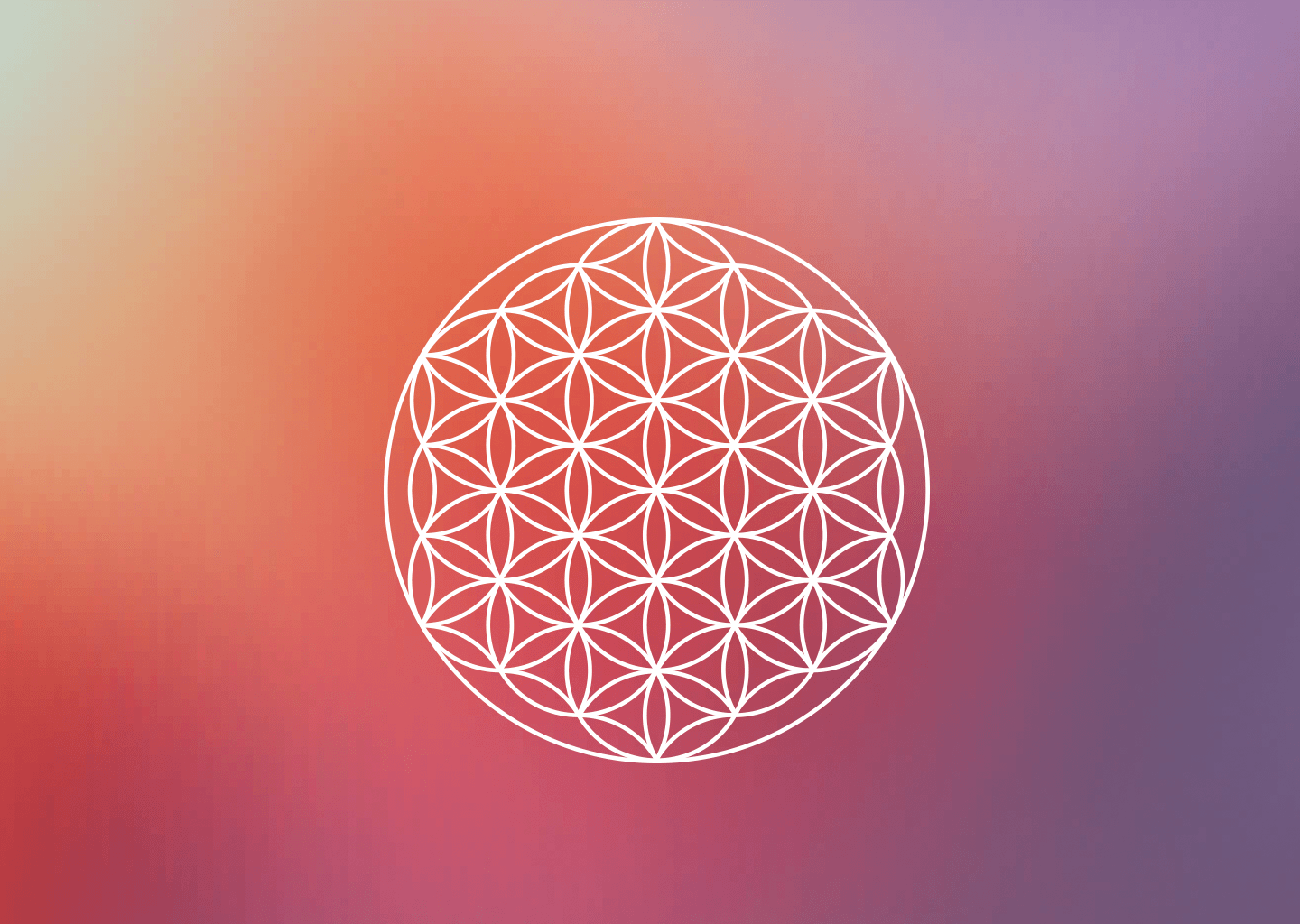 Flower Of Life Wallpapers Top Free Flower Of Life Backgrounds Wallpaperaccess