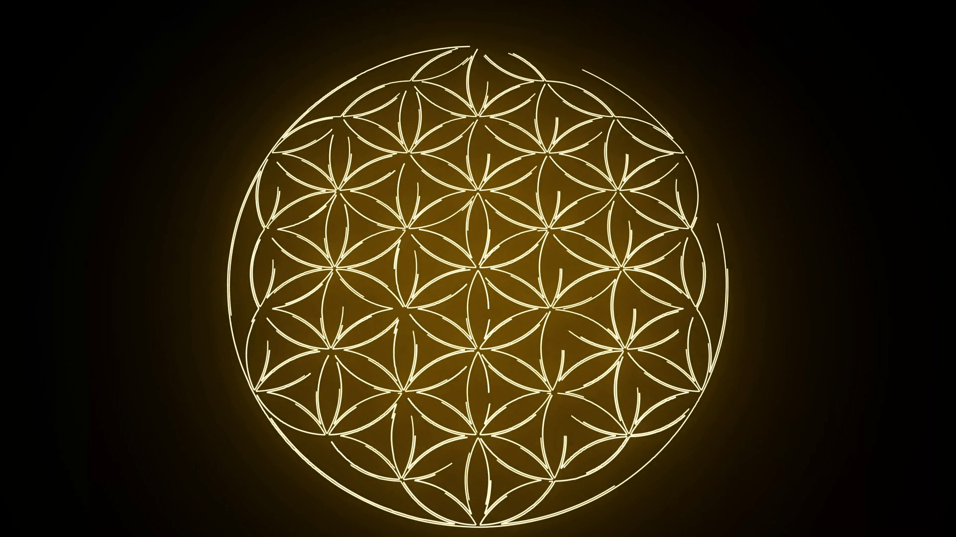 Flower Of Life Wallpapers Top Free Flower Of Life