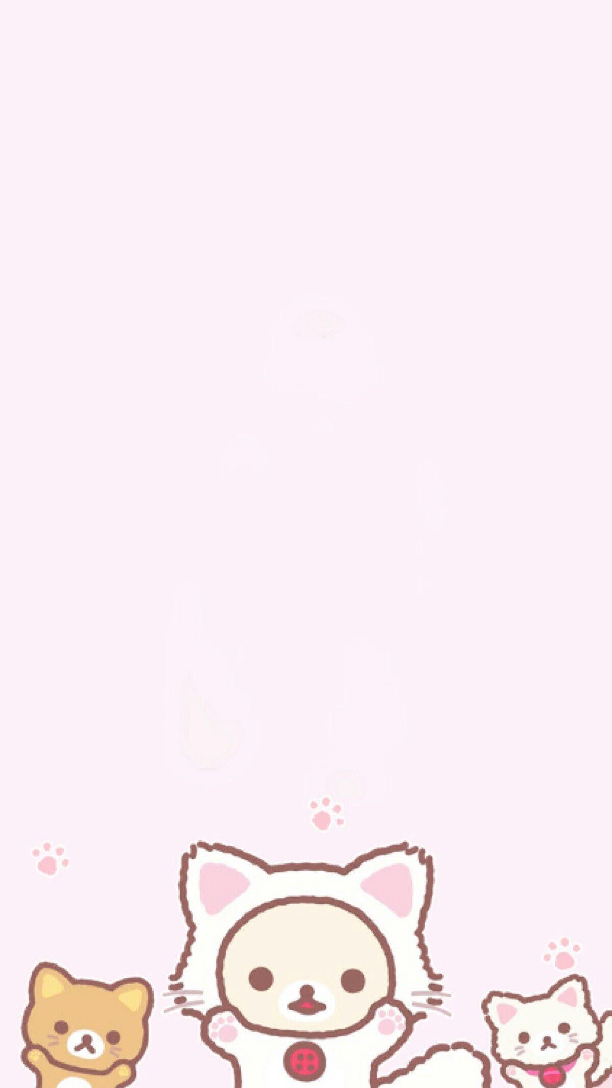 Rilakkuma Cat Wallpapers - Top Free Rilakkuma Cat Backgrounds ...