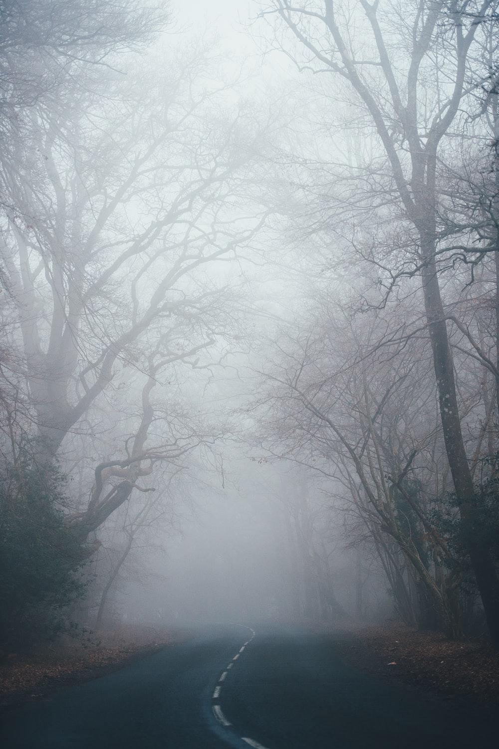 1000x1502 Scary Wallpaper: Free HD Download [HQ]