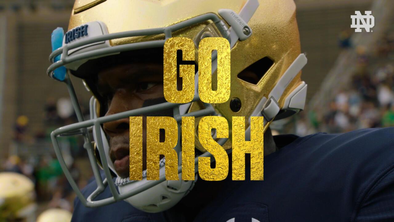 Notre Dame Fighting Irish Wallpapers - Top Free Notre Dame Fighting ...