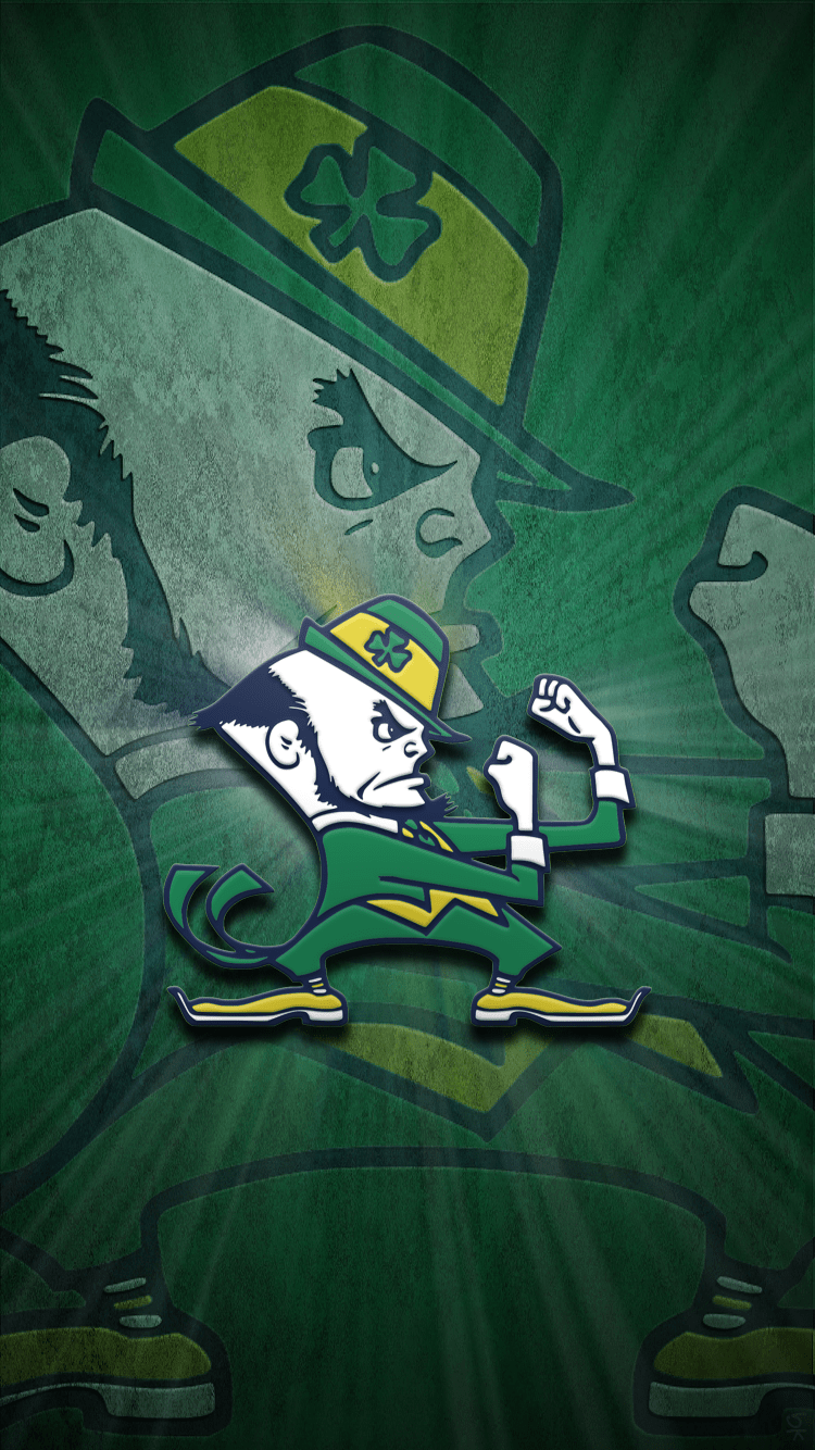 750x1334 Notre Dame iPhone Wallpaper
