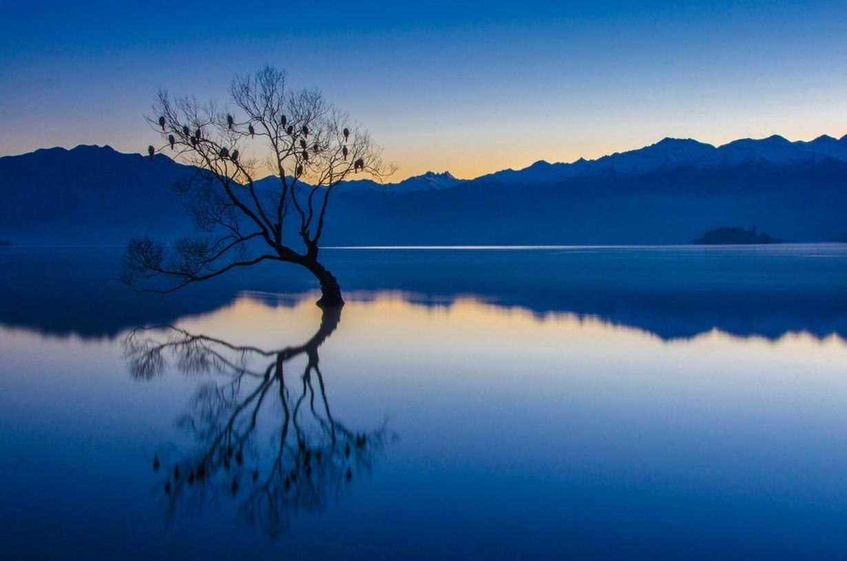 1230x814 nature landscape calm blue water trees lake reflection mountains birds sunset new zealand HD wallpaper, Background