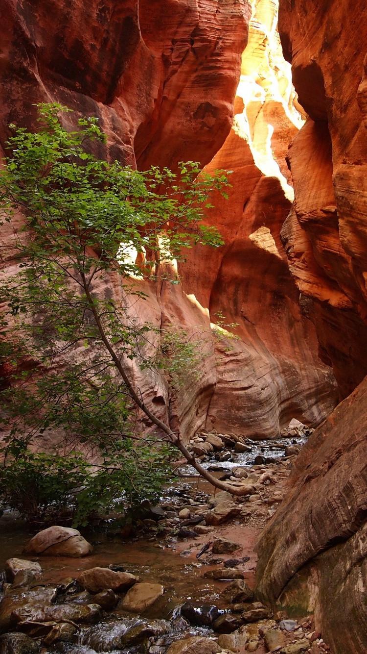 750x1334 Download 750x1334 Zion National Park, Rocks, Usa Wallpaper for iPhone iPhone 6