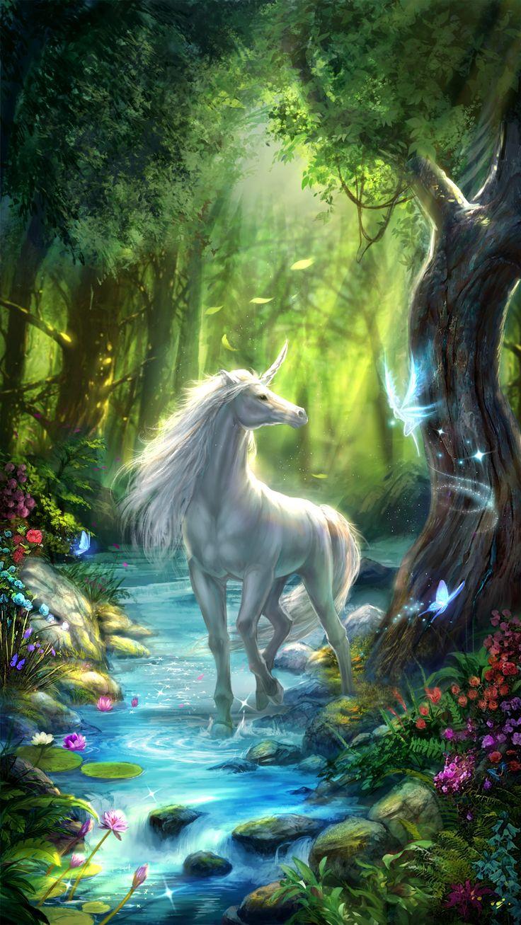 Fairy Unicorn Wallpapers - Top Free Fairy Unicorn Backgrounds ...