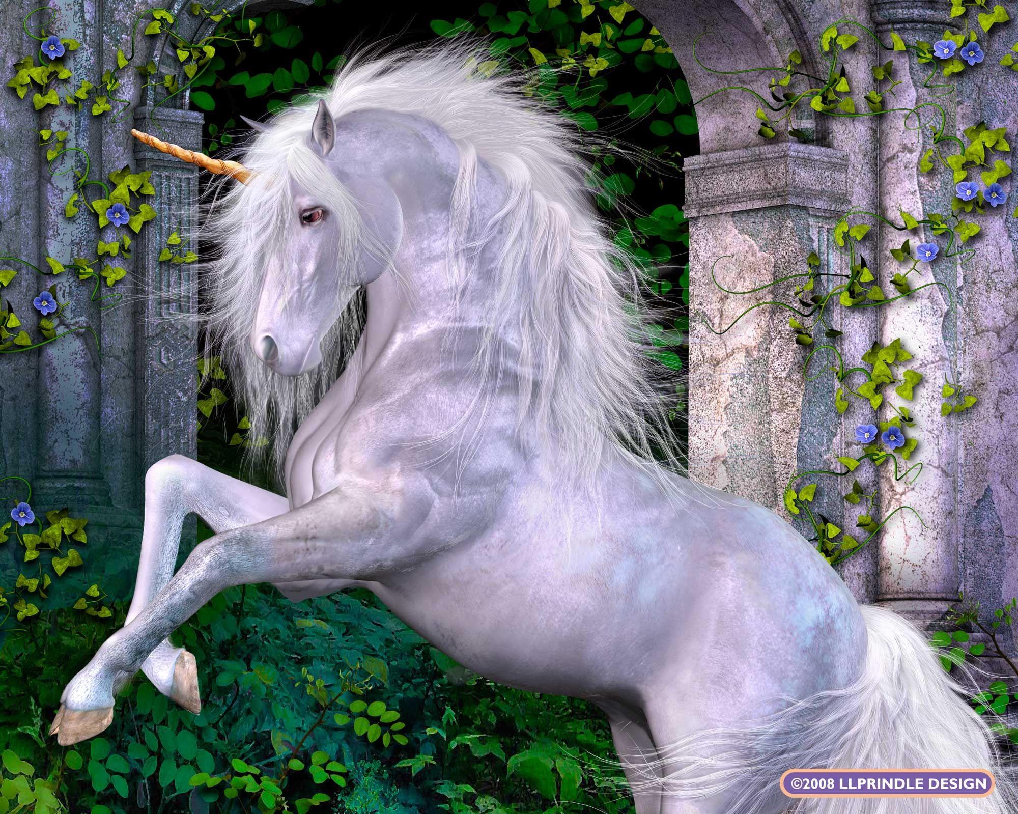 2000x1599 Magical Fairy And Unicorn Wallpaper