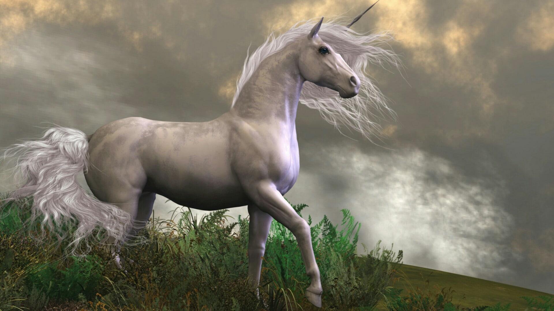 1920x1080 Unicorn, Horse, dreamland, dreamy, fantasy art, fairy tale • Wallpaper For You HD Wallpaper For Desktop & Mobile