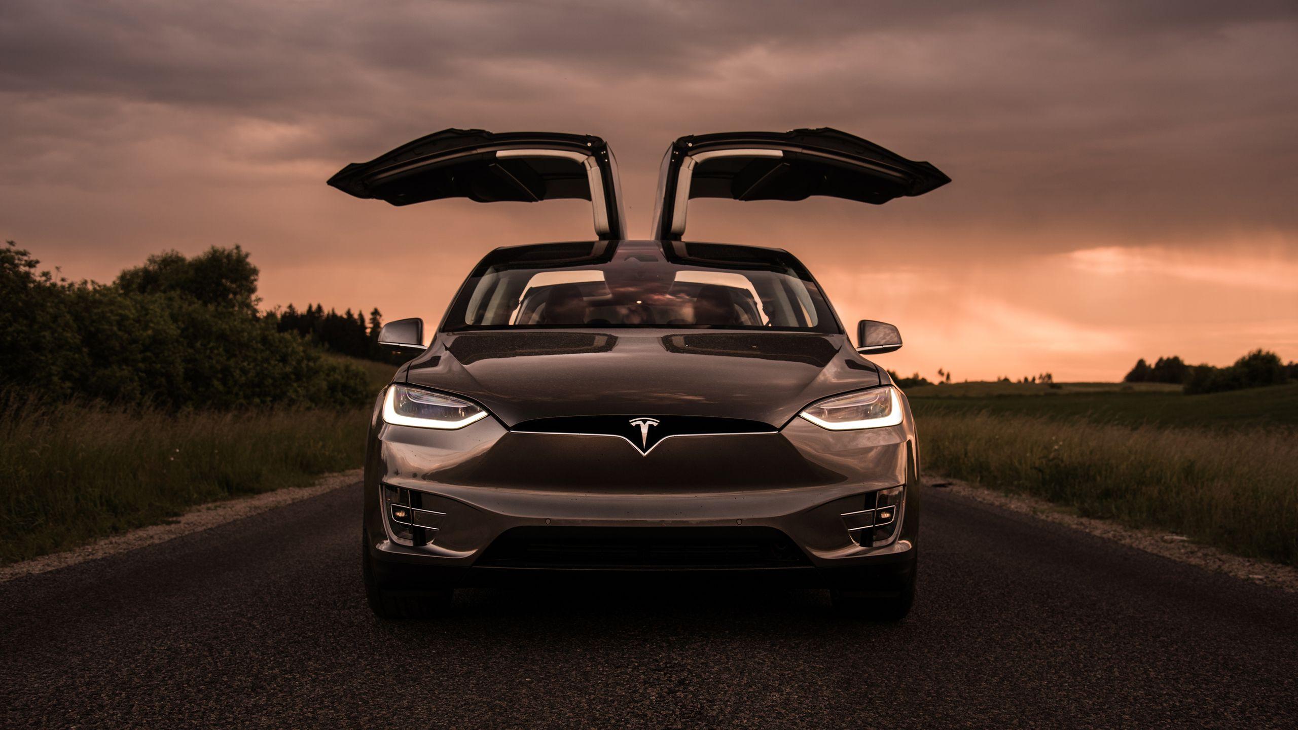 2560x1440 Model X Wallpaper
