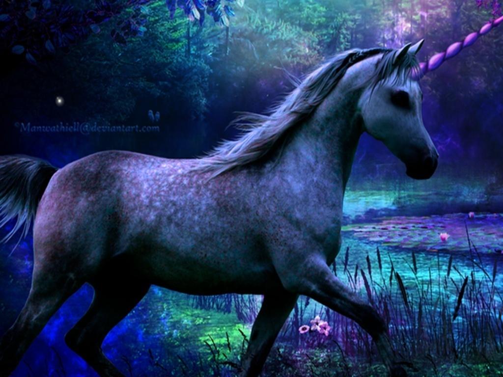 1024x768 Free download fairy 3D wallpaper desktop change those eyes 3D photo and wallpaper [1024x768] for your Desktop, Mobile & Tablet. Explore Free Wallpaper Unicorns. Unicorn Pics Wallpaper, Free Unicorn