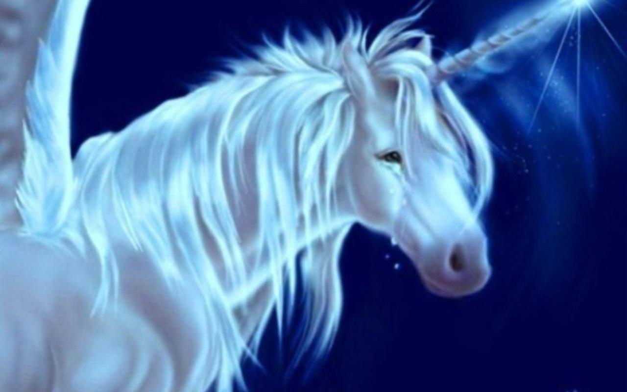 1280x800 Unicorns Creatures Wallpaper