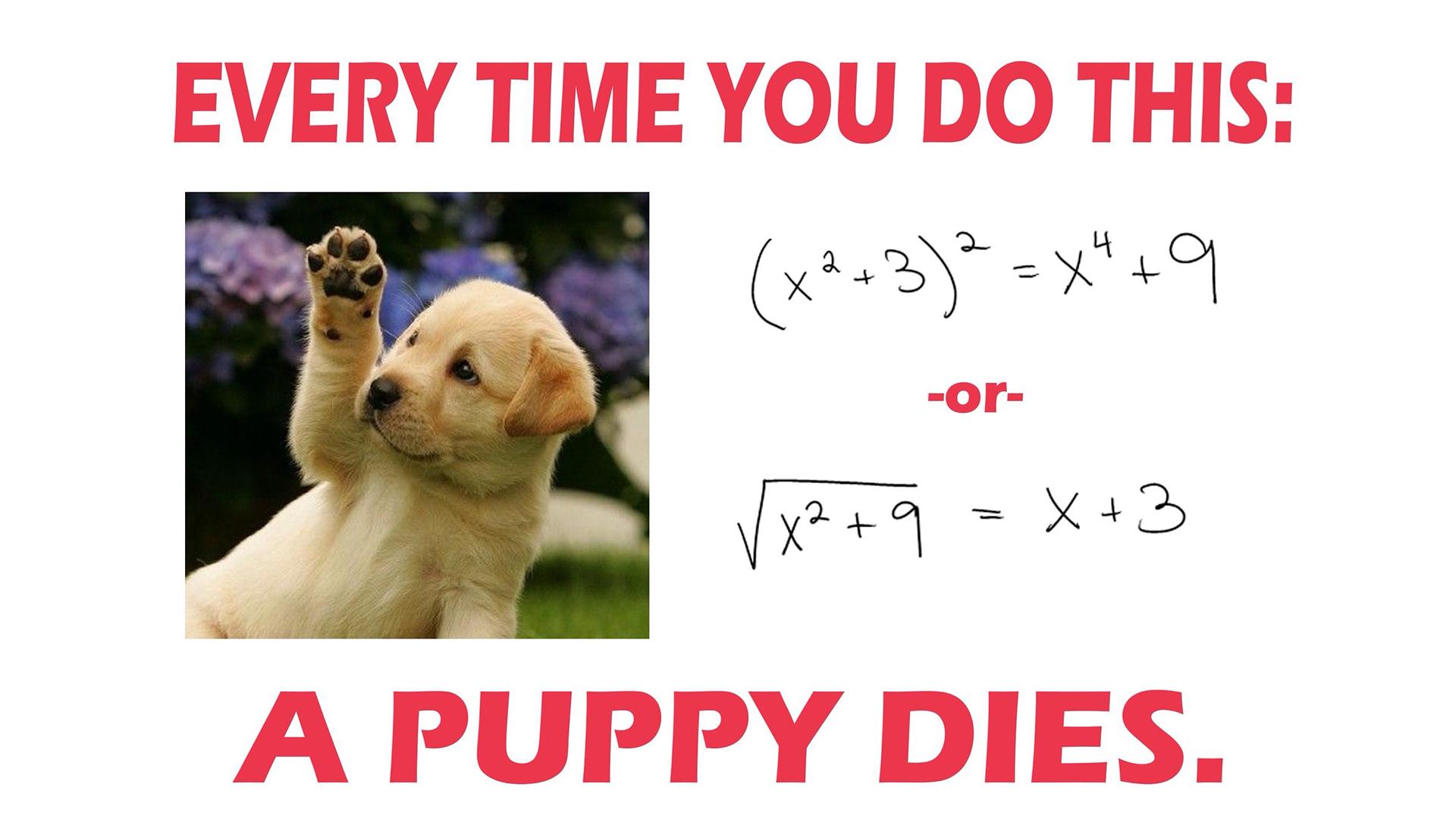 1920x1080 Math Jokes