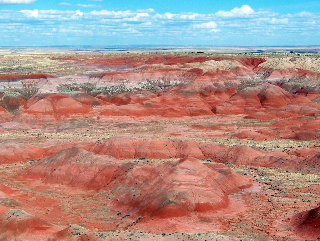 1023x769 Free download The Painted Desert Petrified Forest National Park Arizona [1024x769] for your Desktop, Mobile & Tablet. Explore Petrified Forest National Park Wallpaper. Petrified Forest National Park Wallpaper, Forest