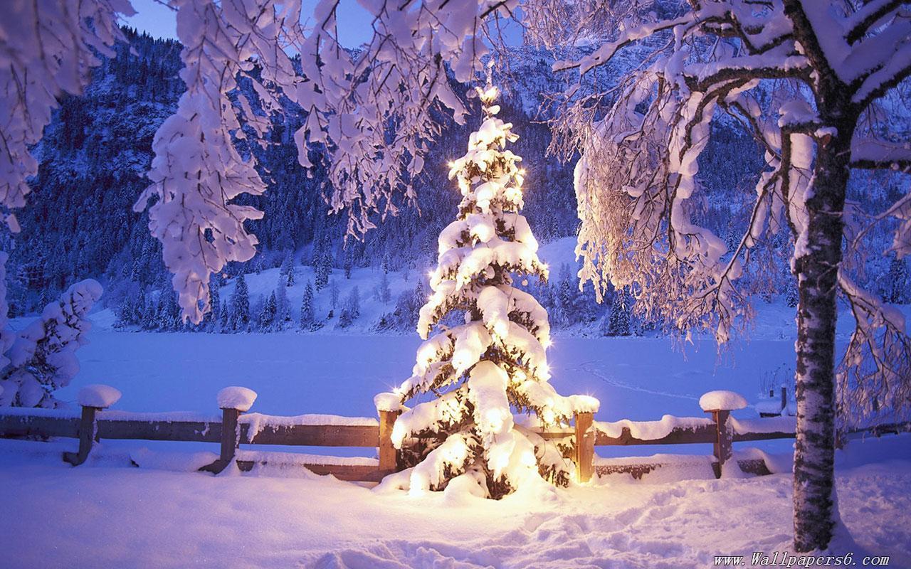 1280x800 snow xmas tree lights christmas winter － Landscape Wallpaper