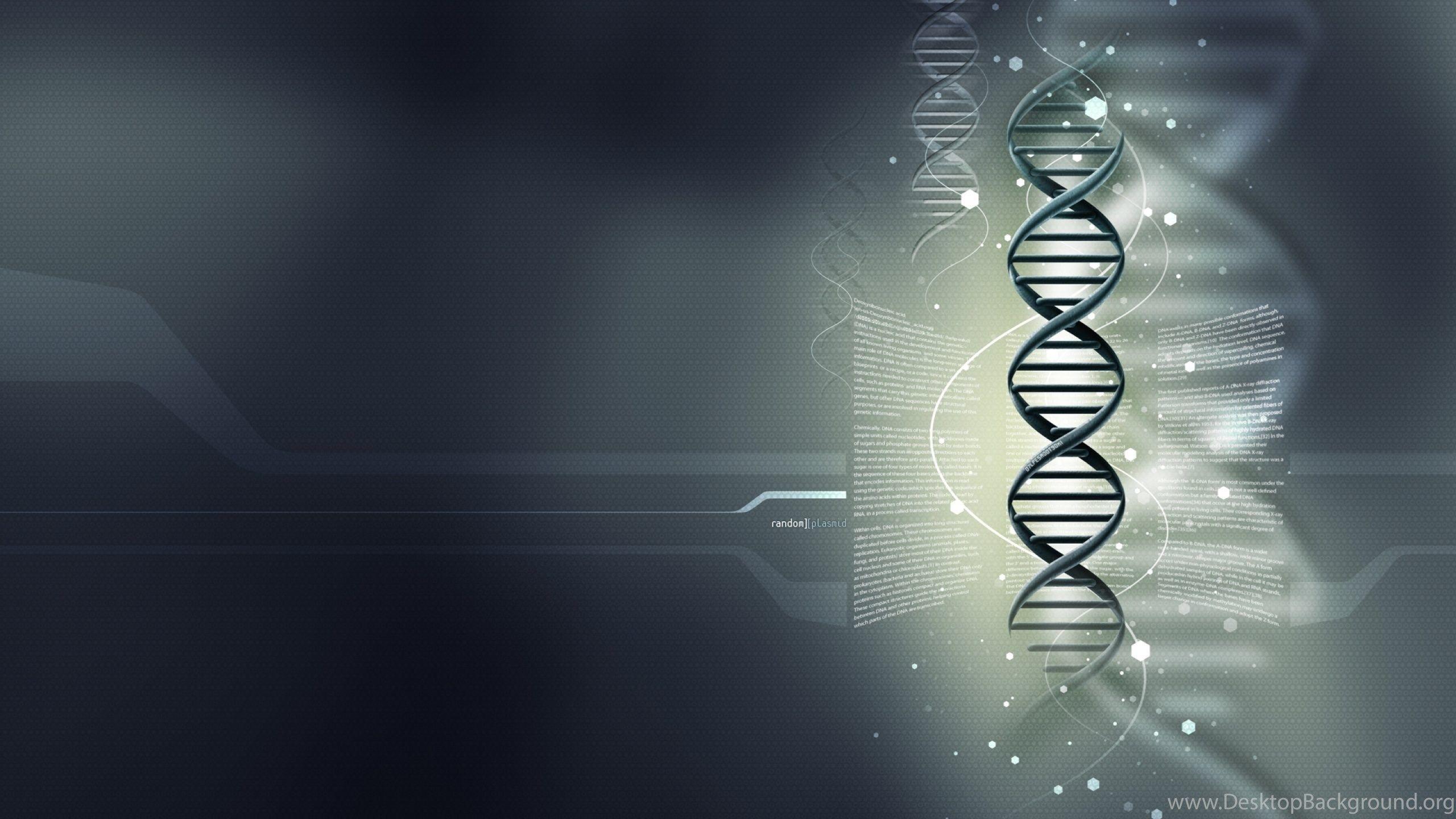 2560x1440 Medical Desktop Background Desktop Background