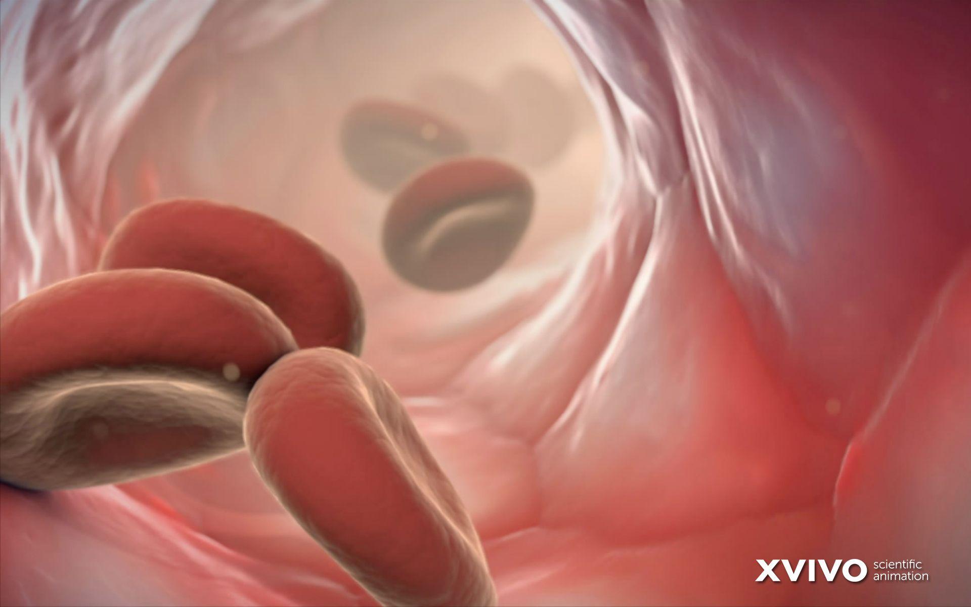 1920x1200 Beautiful Free Medical Illustration Computer Wallpaper