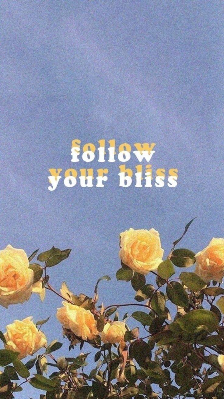 736x1308 Interest investor ⍣ Pin. Quote aesthetic, Tumblr wallpaper, Wallpaper iphone quotes