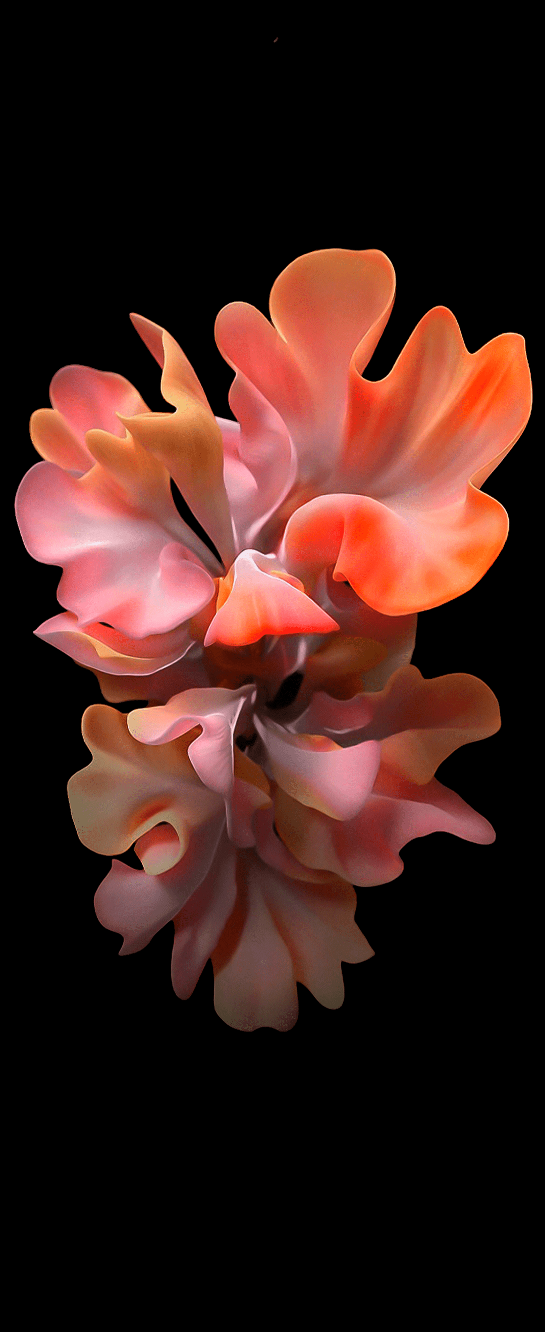 1080x2636 Samsung Galaxy Z Flip Mystic Bronze Hintergrundbild (YTECHB exklusiv). Flower phone wallpaper, iPhone wallpaper photo, Oneplus wallpaper
