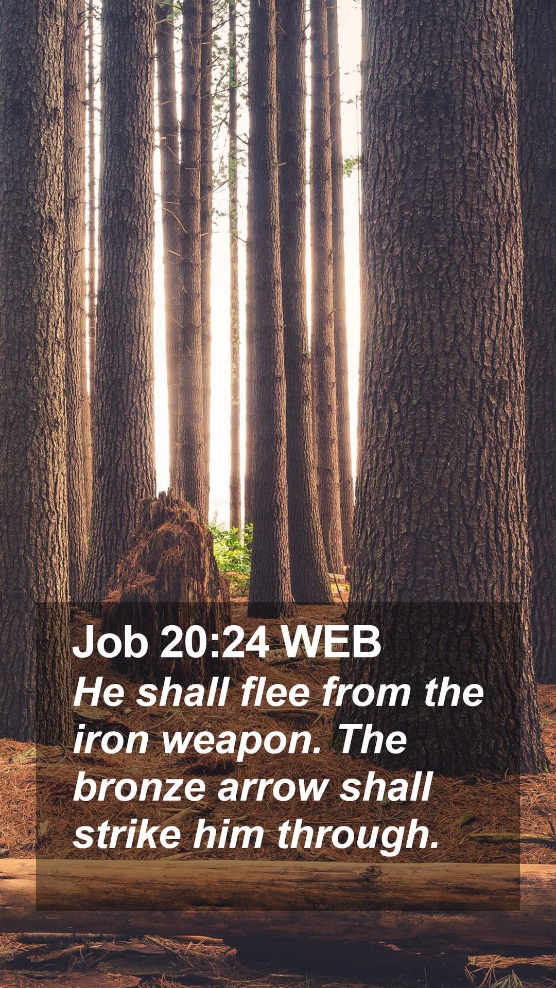 1080x1920 Job 20:24 WEB Mobile Phone Wallpaper shall flee from the iron weapon. The bronze