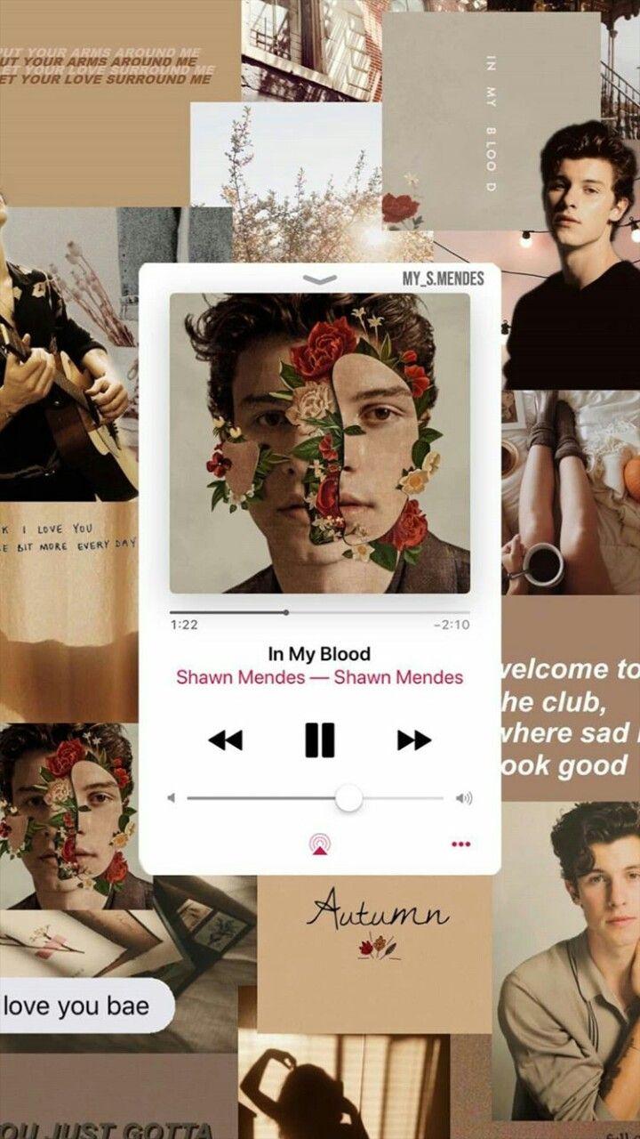 720x1280 moodboard. Shawn mendes wallpaper, Shawn mendes, Shawn