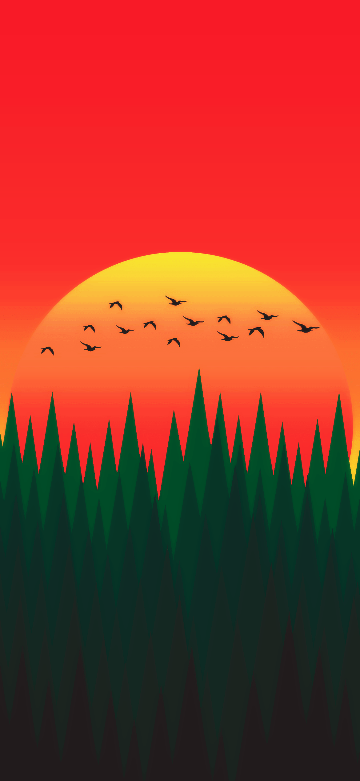 1170x2535 Minimalist Forest Sunset Wallpaper For Tech
