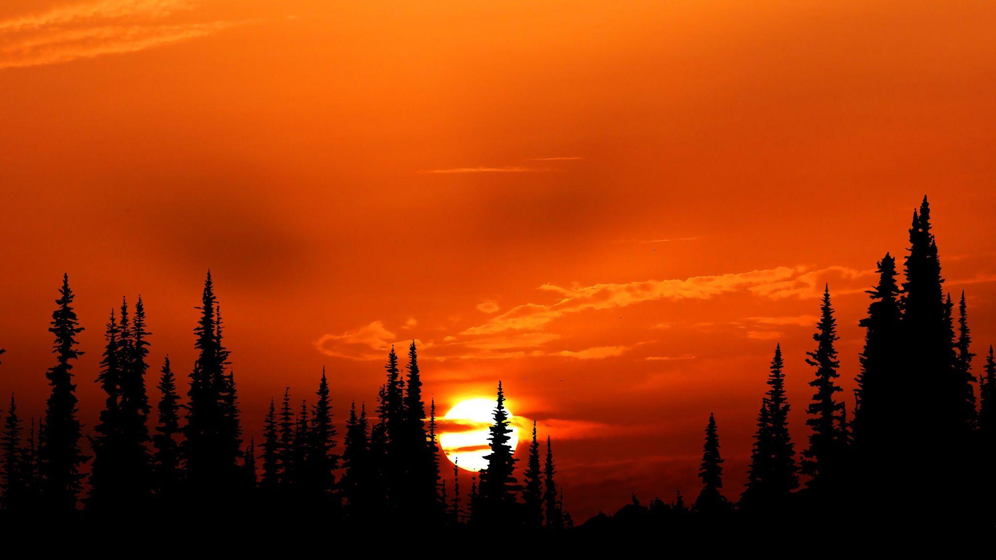2048x1152 Sunset Over The Forest Wallpaper