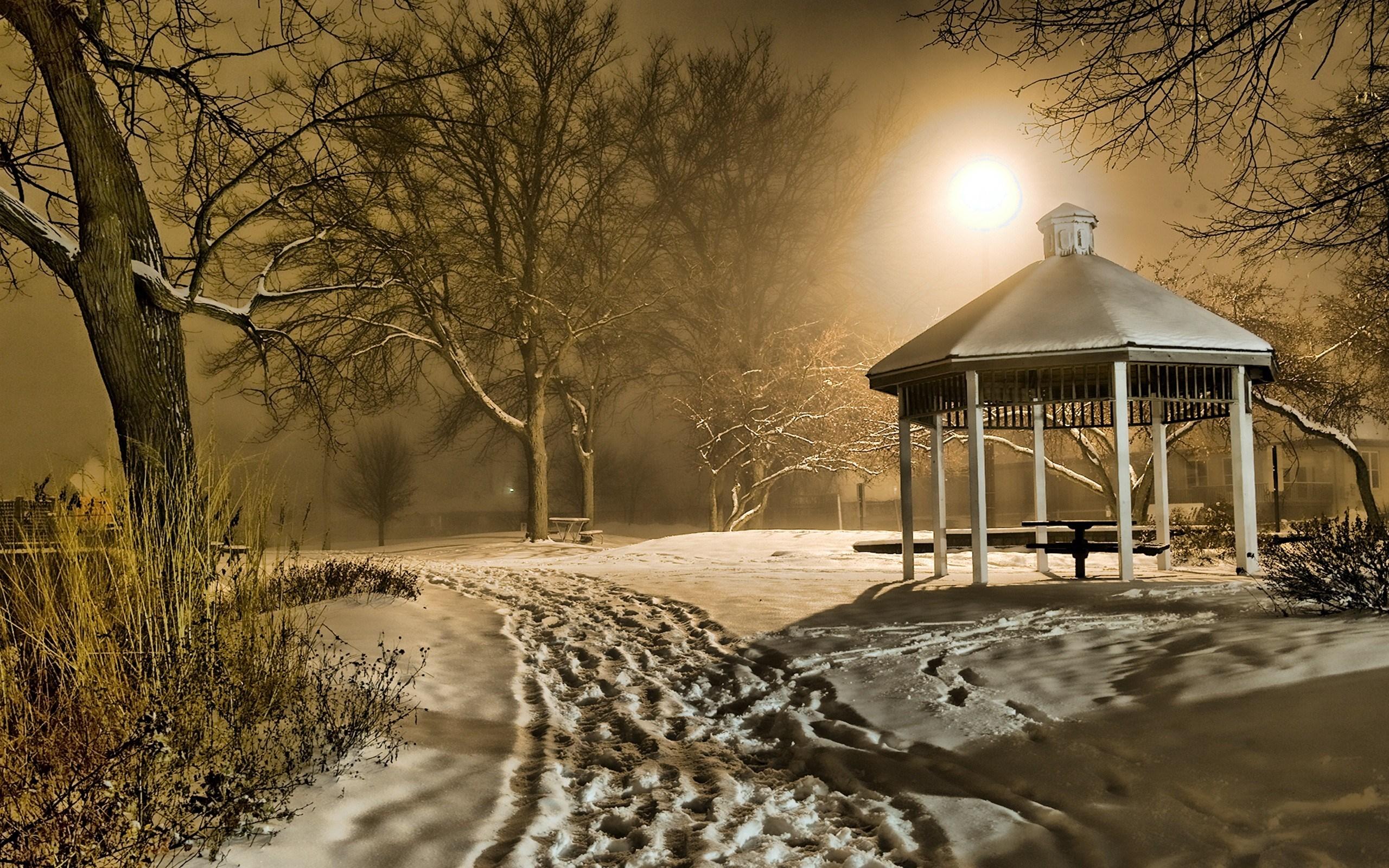 2560x1600 gazebo HD wallpaper, background