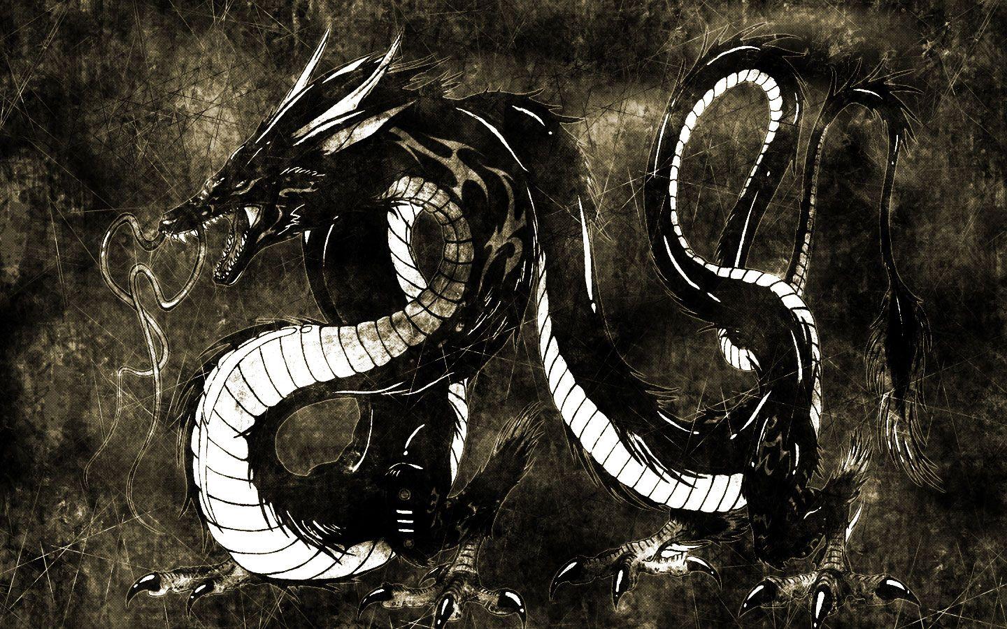 1440x900 Dragon and Tiger Wallpaper