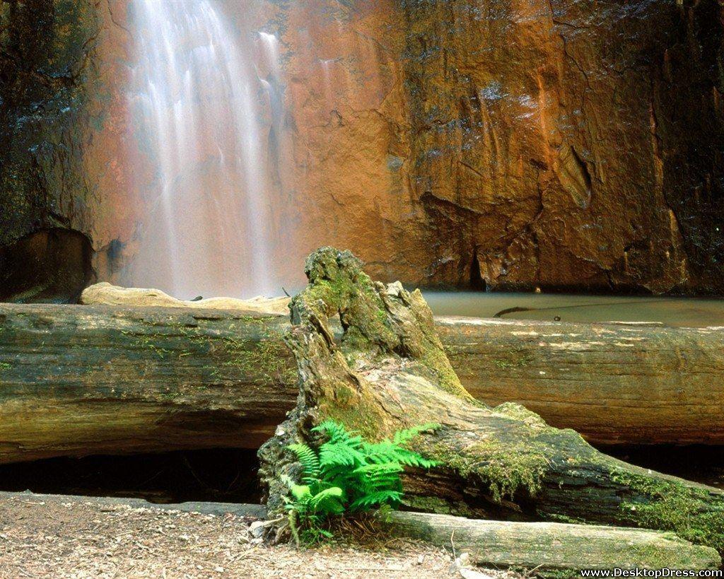 1024x819 Desktop Wallpaper Natural Background Berry Creek Falls, Big
