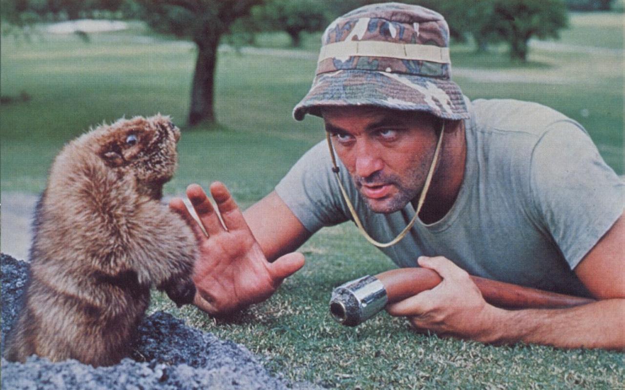 1280x800 caddyshack bill murray 1280x800 wallpaper High Quality Wallpaper, High Definition Wallpaper